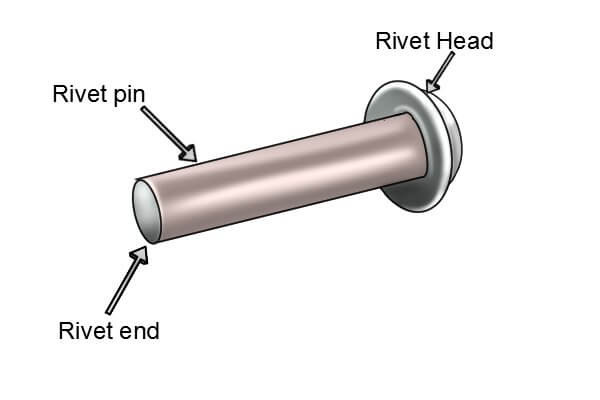 How Does Rivet Work